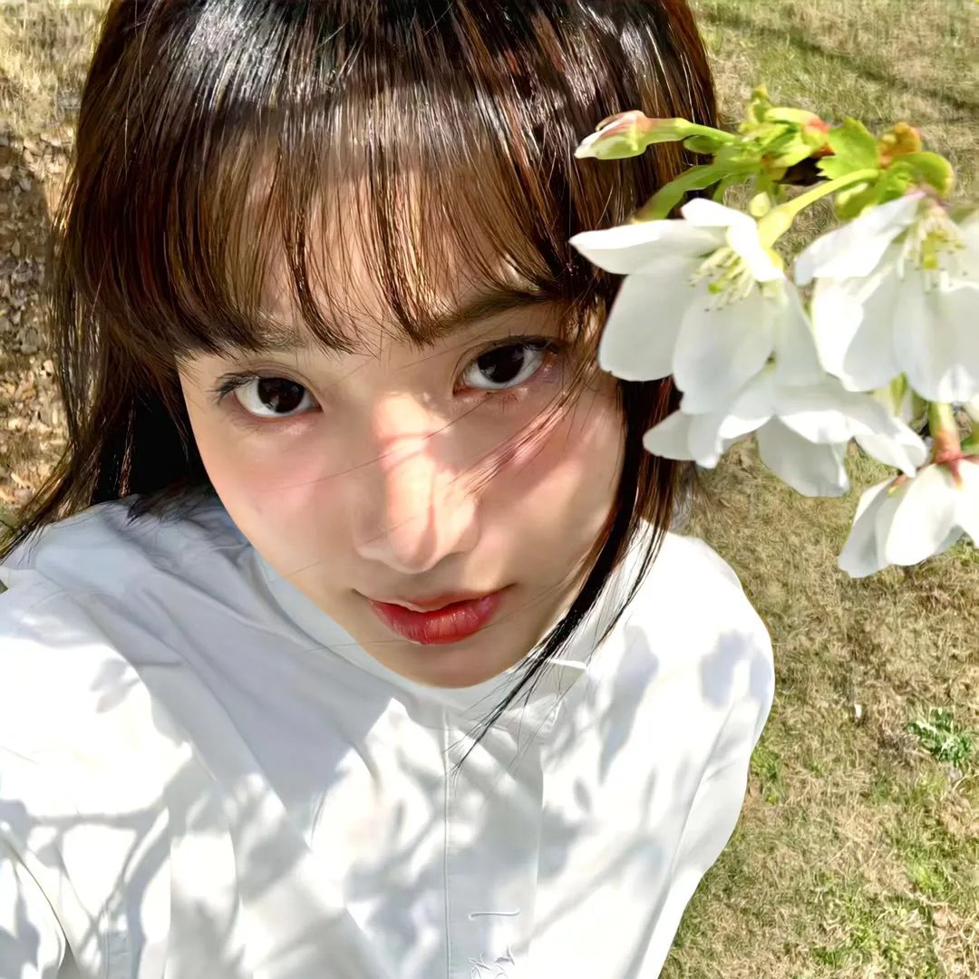 樱花别恋